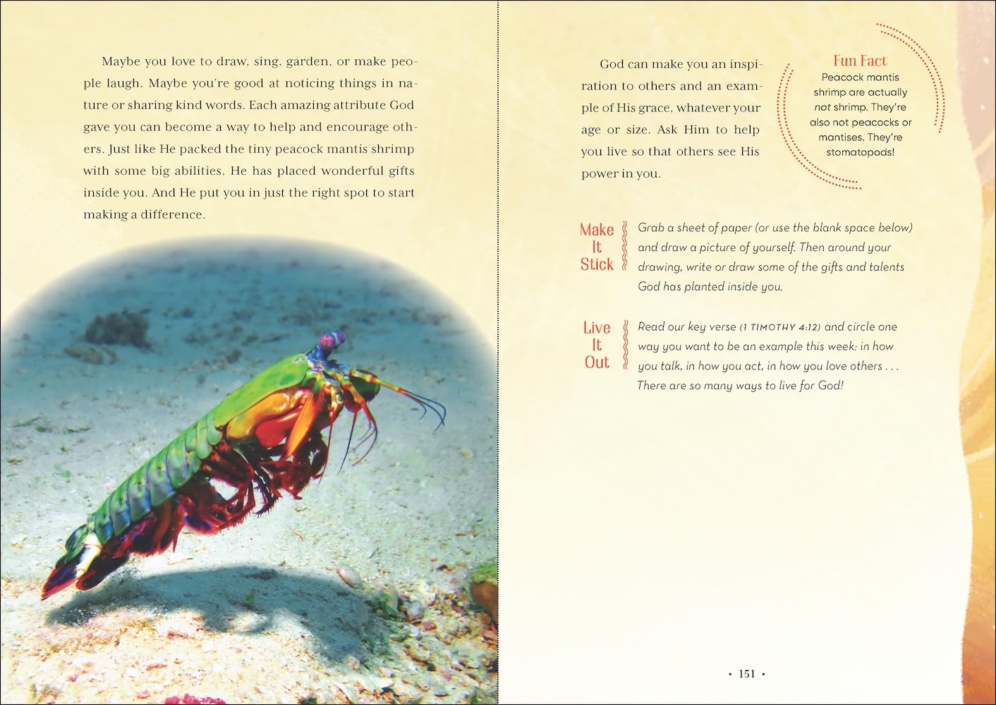 Wild Faith Devotional for Kids