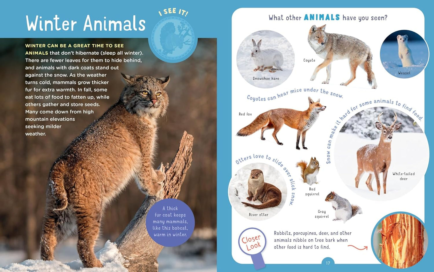 Backpack Explorer: Winter Walk