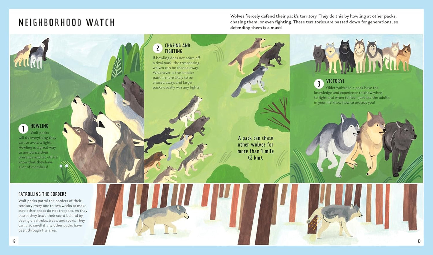 Young Zoologist: Gray Wolf