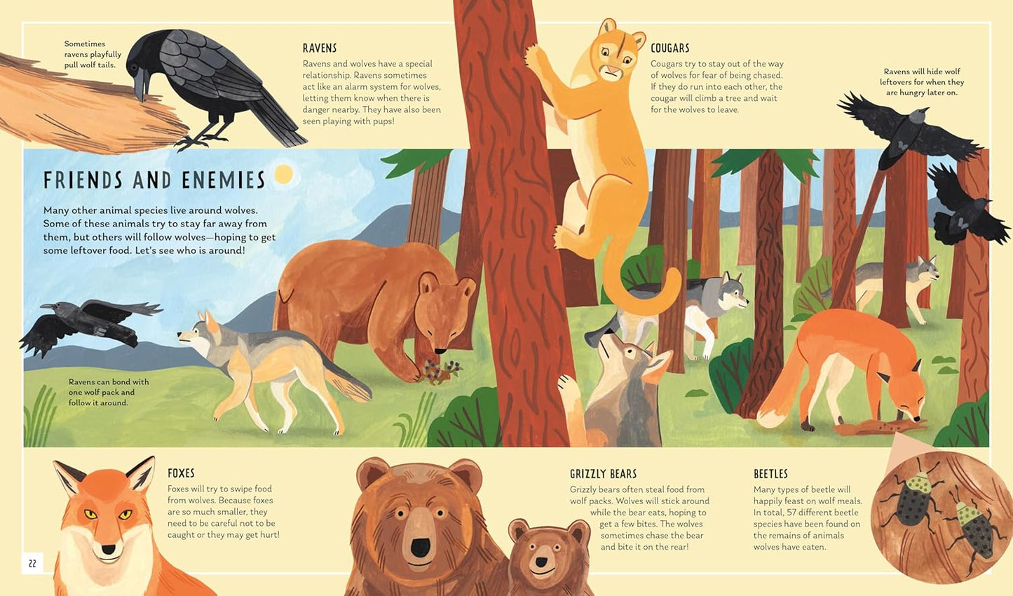 Young Zoologist: Gray Wolf