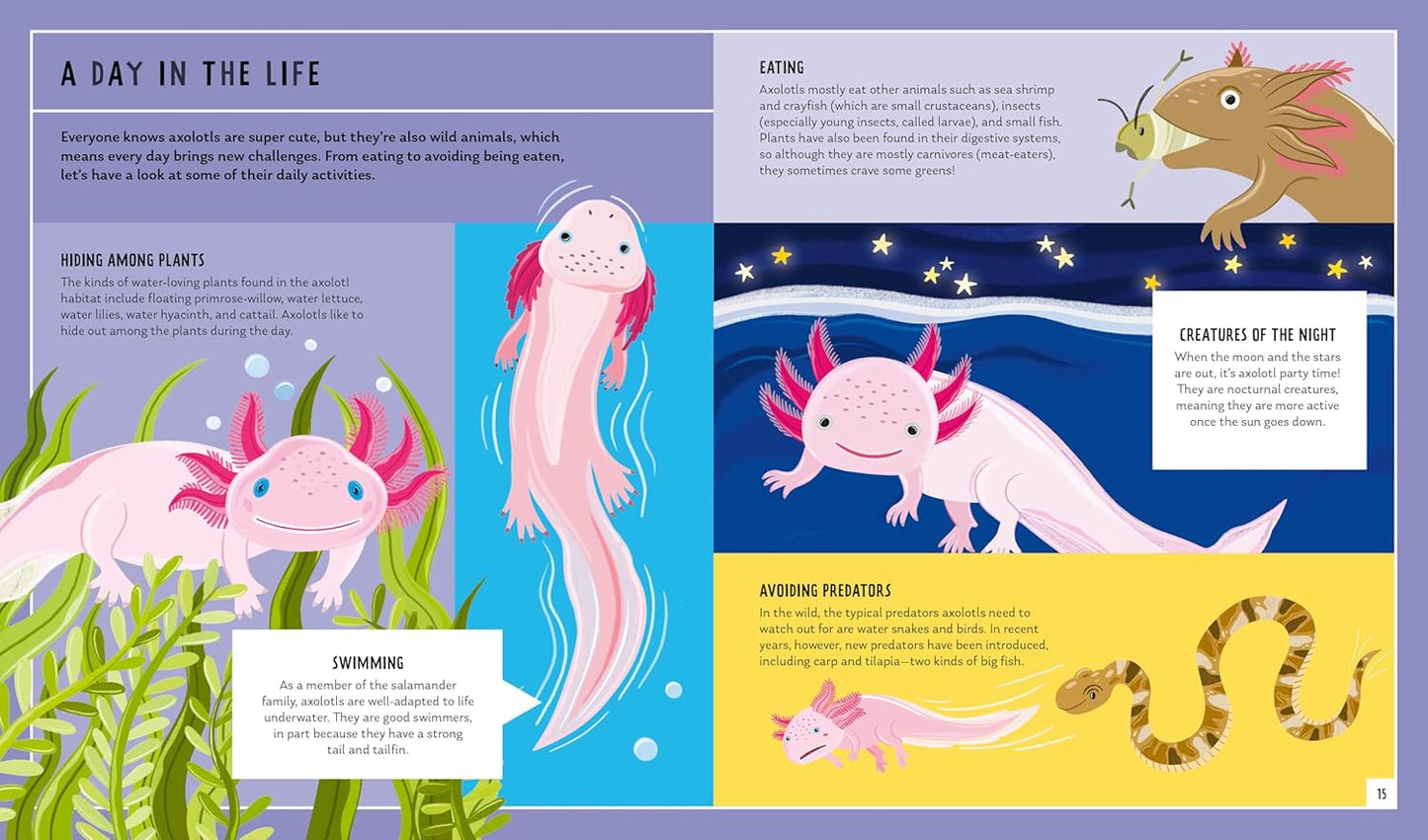 Young Zoologist: Axolotl