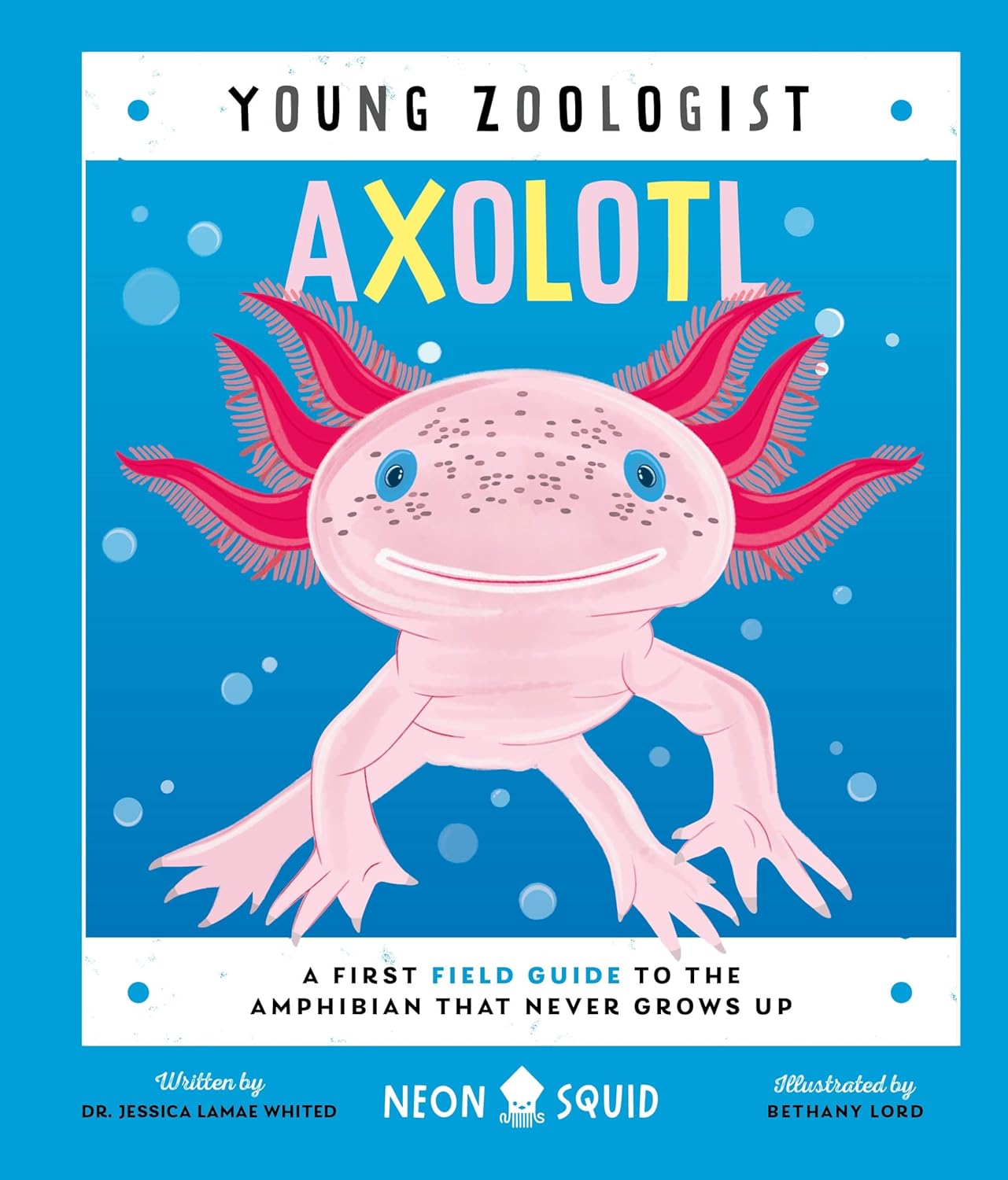 Young Zoologist: Axolotl