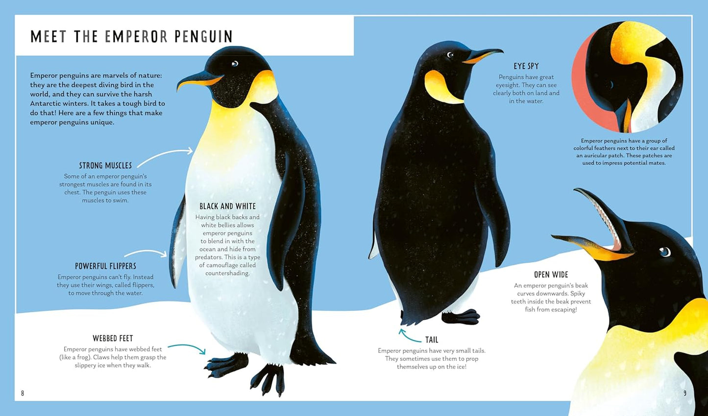 Young Zoologist: Emperor Penguin