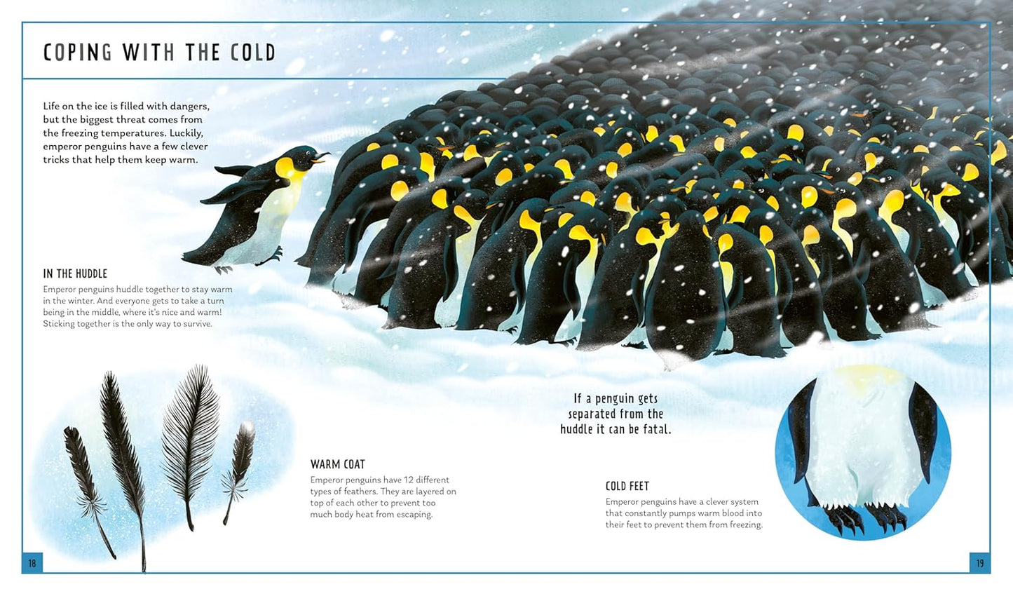 Young Zoologist: Emperor Penguin