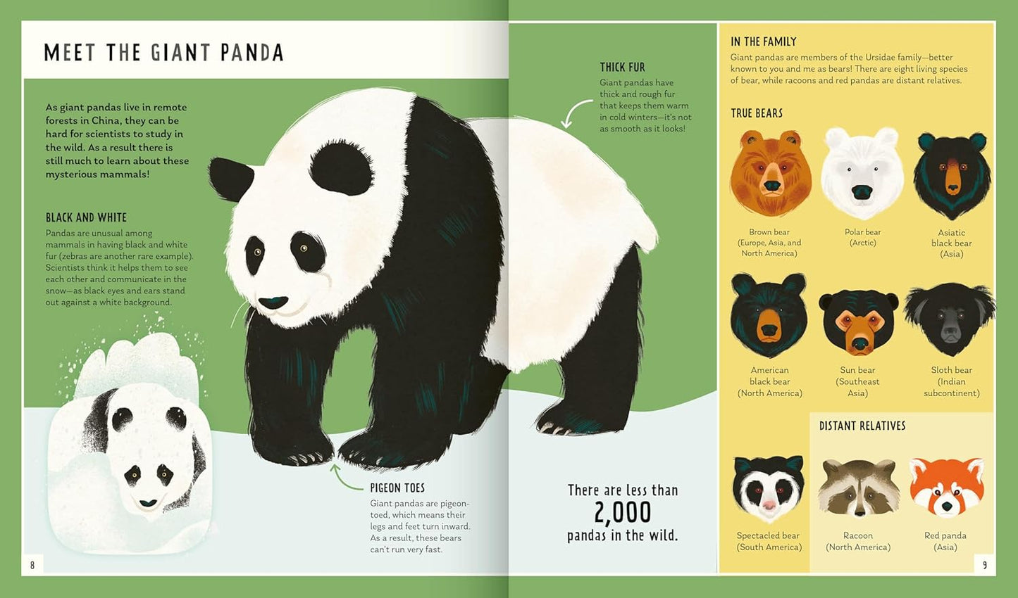 Young Zoologist: Giant Panda