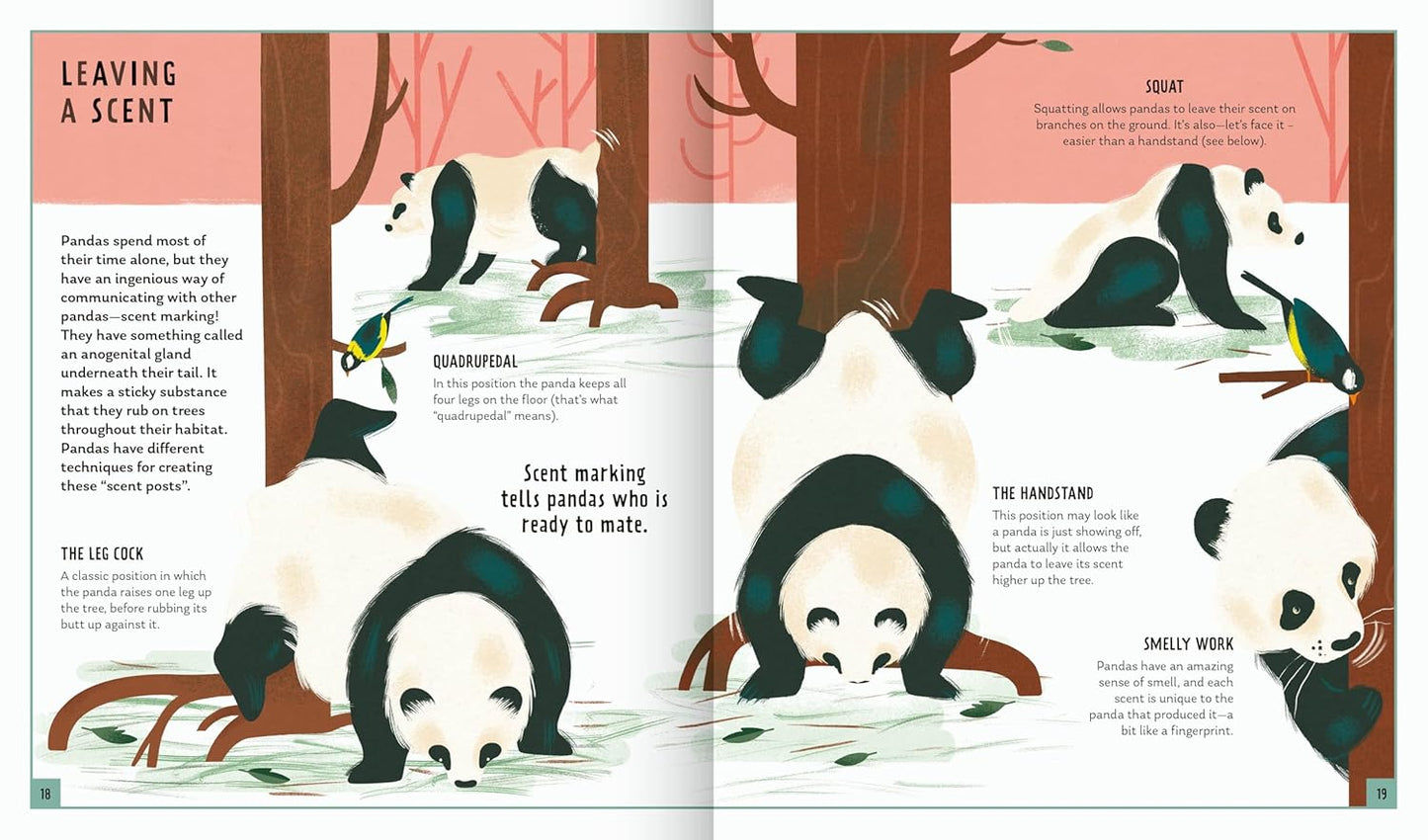 Young Zoologist: Giant Panda