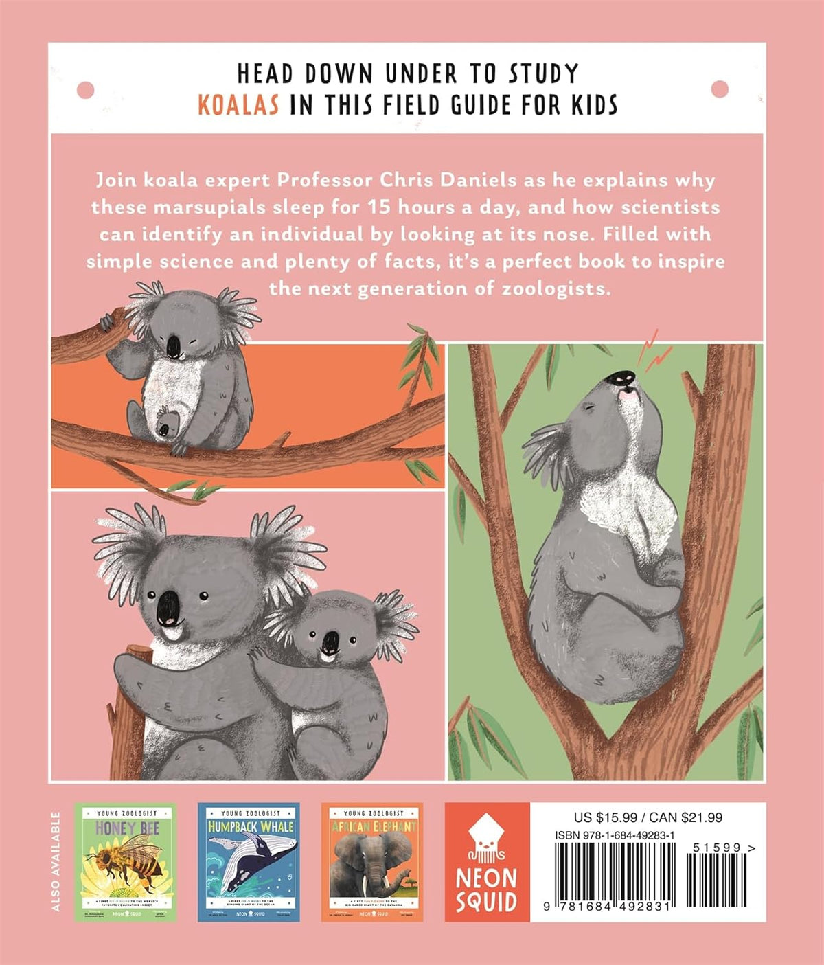 Koola And Rabbit Young Zoologist: Koala – Rolling Rabbit Books