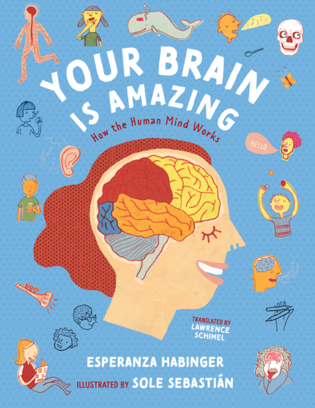 Your Brain Is Amazing: How the Human Mind Works